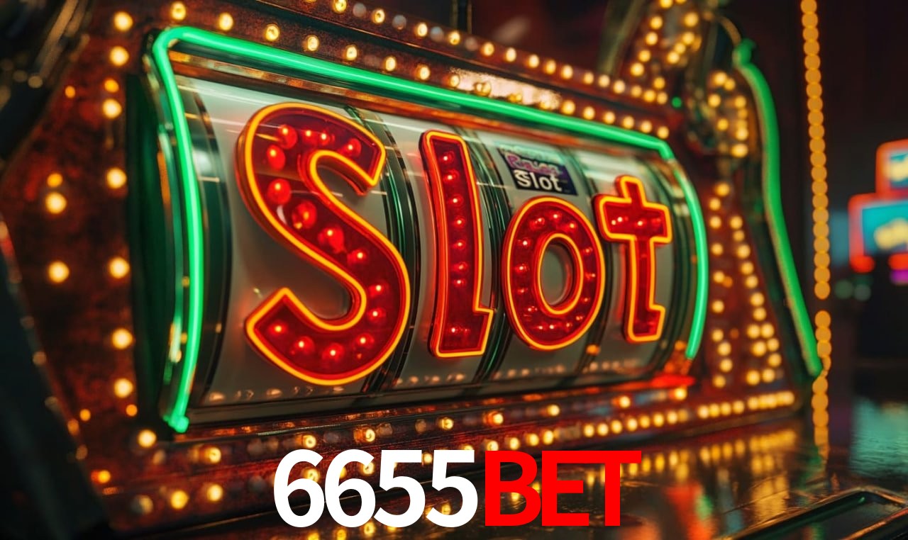 6655Bet - User Statistics