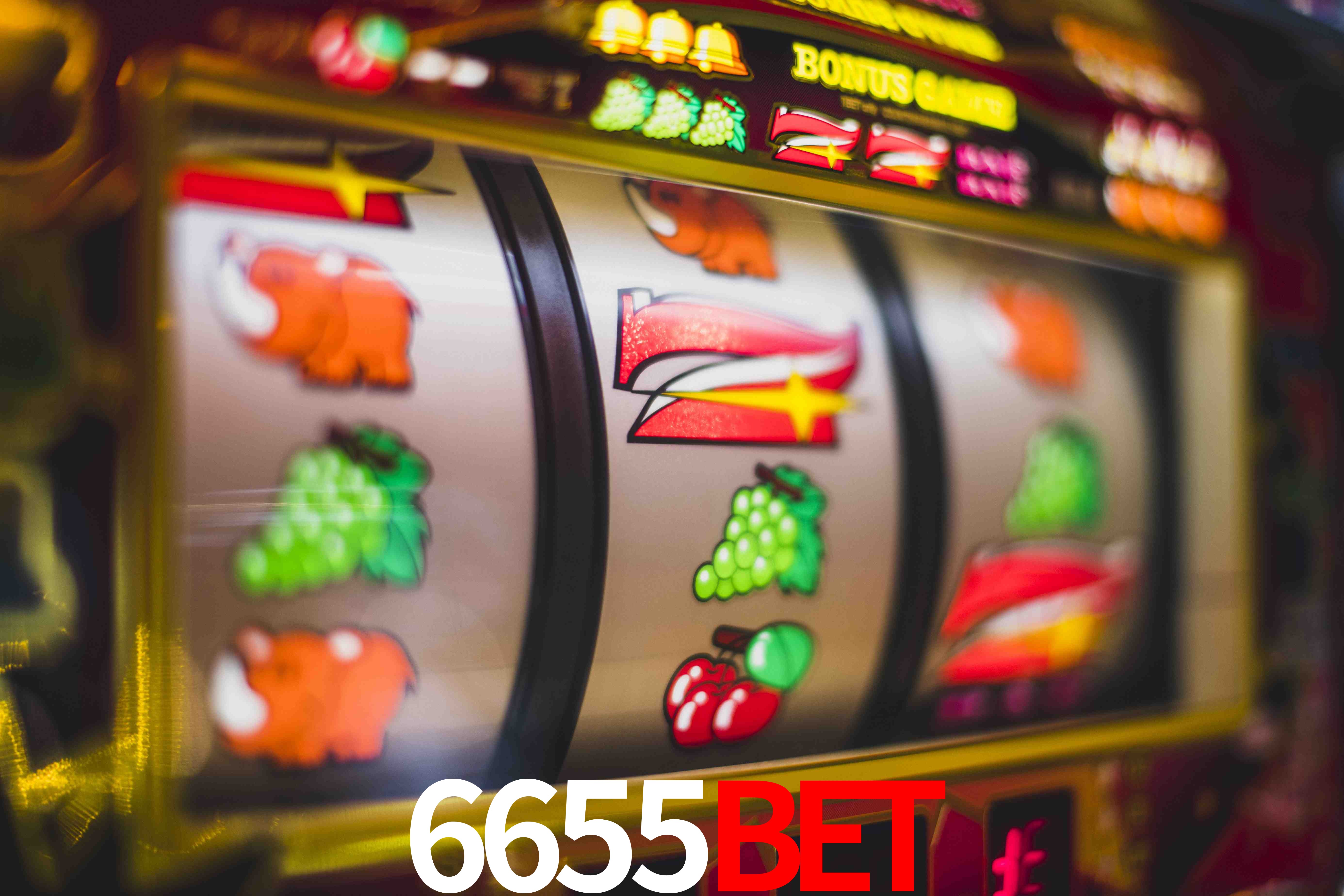 Experiência VIP 6655Bet